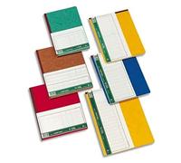 LE DAUPHIN Piqûre trace comptable folioté 27 x 37,5 cm 80 pages 15 colonnes avec tête paresseuse