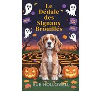 Le Dédale des Signaux Brouillés