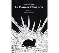 Le dernier chat noir