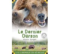 Le dernier ourson - Alain Surget - Calligram - Poche - Roman junior dès 9 ans