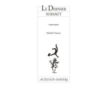 Le dernier sursaut - Impromptu - Michel Vinaver - Actes Sud-Papiers - broché - Livre