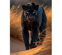 Le désert des panthères noires Diamond painting Diamond Painting Enfant, DIY 5D Diamond Painting Kit Complet, Ronde Diamond, diamant painting, Strass Point De Croix Pour Murale DéCoration 50x60cm A179