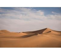 Le désert Infini - Puzzle de 8000 pièces pour Adultes : Défi cérébral 14+