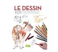 Le dessin 101 techniques - Pour apprendre et progresser - Collectif - Dessain Et Tolra - broché - Guide