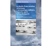 Le Destin D'une Aviation Victorieuse - L'aéronautique Militaire Française Après La Grande Guerre