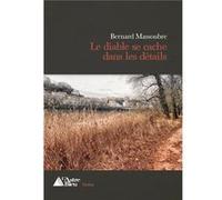 Le diable se cache dans les détails Bernard MASSOUBRE (Auteur)