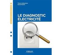 Le diagnostic électricité Thierry Gallauziaux (Auteur), David Fedullo (Auteur)