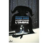 Le dieu dans l'ombre - Megan Lindholm - Actusf - broché - Roman