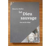Le Dieu sauvage: Pour une foi critique