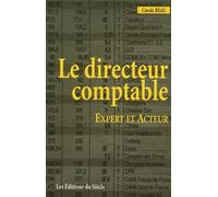 Le Directeur Comptable : Expert Et Acteur