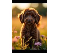 Le Don Du Chien: Comment L'Amour Inconditionnel D'Un Chien Améliore La Pleine Conscience, La Connexion Et Le Bien-être