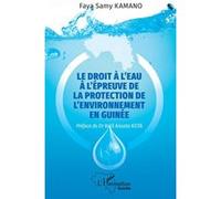 Faya Samy Kamano – Le droit à l'eau à l'épreuve de la protection de l'environnement en Guinée–Broché