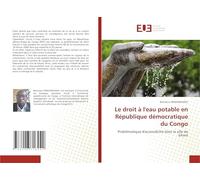 Le droit à l'eau potable en République démocratique du Congo: Problématique d'accessibilité dans la ville de kikwit