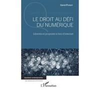 Le Droit Au Défi Du Numérique - Libertés Et Propriété À L'ère D'internet