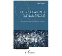 Le Droit Au Défi Du Numérique - Libertés Et Propriété À L'ère D'internet