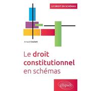 Le droit constitutionnel en schémas