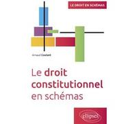 Le droit constitutionnel en schémas