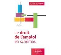 Le droit de l’emploi en schémas - Audrey Pascal - Ellipses - broché - Etude
