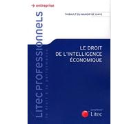 le droit de l intelligence economique