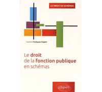 Le droit de la fonction publique en schémas