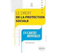 Le droit de la protection sociale en cartes mentales