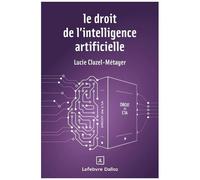 Le Droit De L'intelligence Artificielle