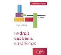 Le droit des biens en schémas