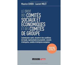 Le droit des comités sociaux et économiques et des comités de groupe (CSE): Commissions santé, sécurité et des conditions de travail, représentants de ... comités d'entreprise européens (2025)