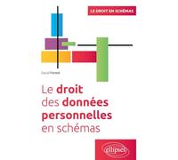 Le droit des données personnelles en schémas