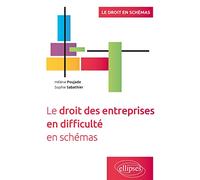 Le Droit Des Entreprises En Difficulté En Schémas