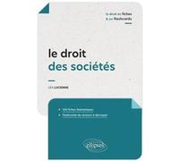 Le droit des sociétés en fiches et en flashcards Léa Lucienne (Auteur), Nicolas Clinchamps (Collection dirigée par), Pierre-Yves Monjal (Collection dirigée par)