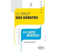 Le Droit Des Sûretés En Cartes Mentales
