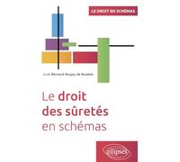 Le droit des sûretés en schémas