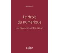 Le droit du numérique - Une approche par les risques