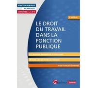 Le droit du travail dans la fonction publique Jean-François Lemmet (Auteur)