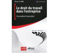 Le Droit Du Travail Dans L'entreprise : Connaître L'essentiel