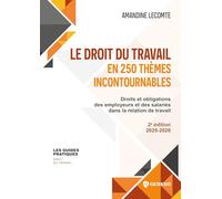 Le droit du travail en 250 thèmes incontournables: Droits et obligations des employeurs et des salariés dans la relation de travail