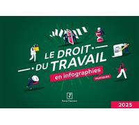 Le droit du travail en infographies pratiques 2025 - Loïc Lewandowski - Revue Fiduciaire - broché - Guide