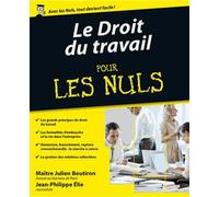 Le Droit du travail pour les Nuls, 2e