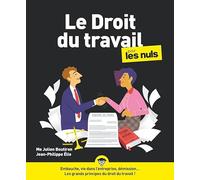 Le Droit du travail pour les Nuls, grand format, 6e éd
