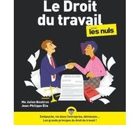 Le Droit du travail pour les Nuls, grand format, 6e éd Julien Boutiron (Auteur), Jean-Philippe Elie (Auteur)