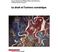 Le droit et l'univers numérique Philippe Pédrot (Auteur), Sarah Bonnieu (Auteur), Bettina Bordure-Varence (Auteur)