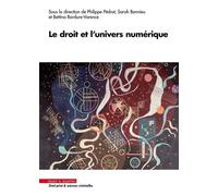 Le droit et l'univers numérique - Philippe Pédrot - Mare & Martin - broché - Etude