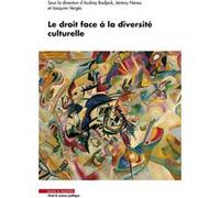 Le droit face à la diversité culturelle Audrey Badjeck (Auteur), Jérémy Neveu (Auteur), Joaquim Verges (Auteur)