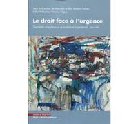 Le droit face à l'urgence Manuela Brillat (Auteur), Antonin Forlen (Auteur), Célia Hoffstetter (Auteur), Nicolas Kilgus (Auteur)