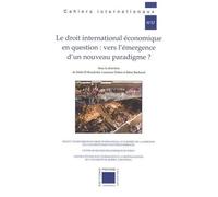 Le Droit International Économique En Question : Vers L'émergence D'un Nouveau Paradigme ?