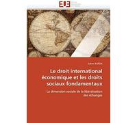 Le Droit International Économique Et Les Droits Sociaux Fondamentaux