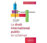 Le Droit International Public En Schémas