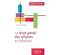Le droit pénal des affaires en schémas
