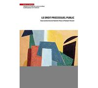 Le droit processuel public